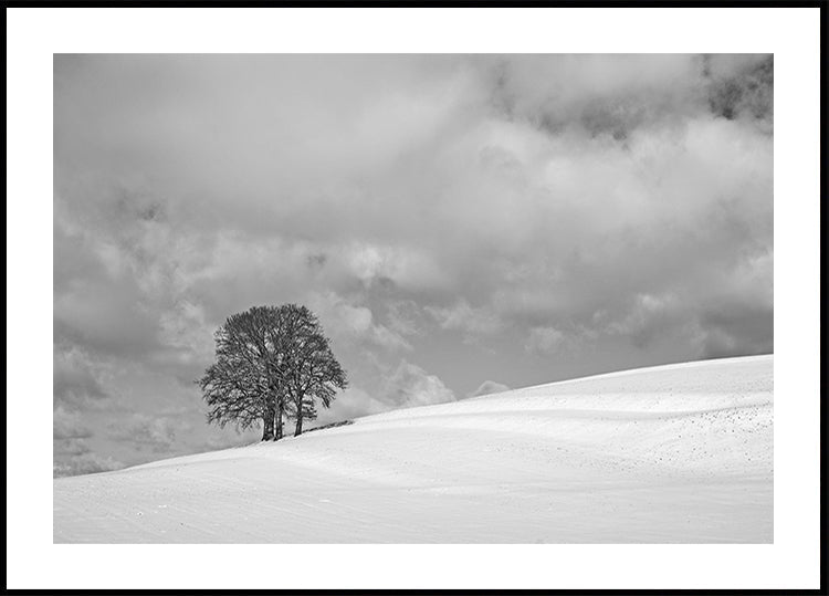 Plakát zamračený zimní den