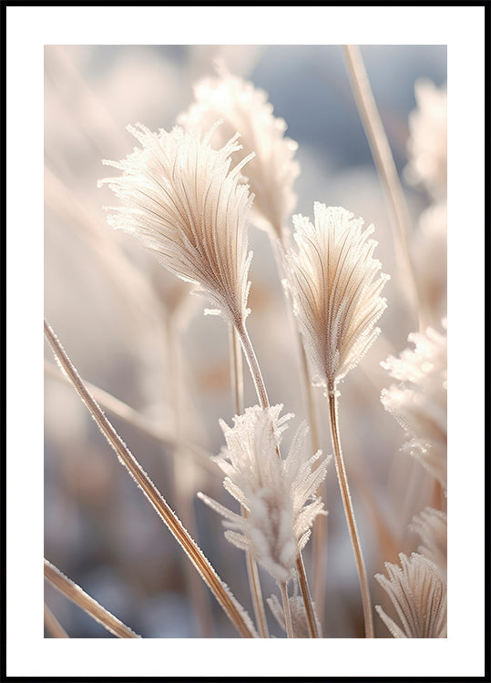 Plakát matné elegance