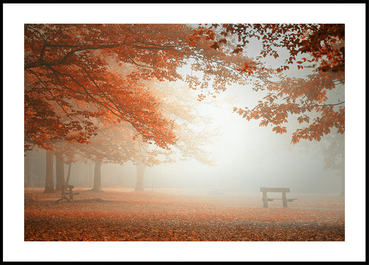 Plakát Zázraky přírody