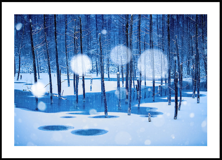 Plakát Pohádková země