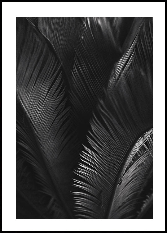 Palm Leaves Plakat - Posterbox.dk