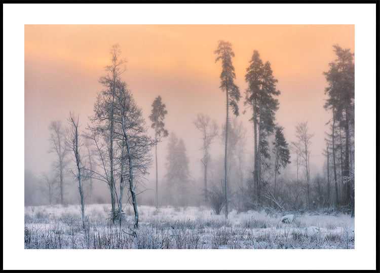 Mrazivé ráno plakát
