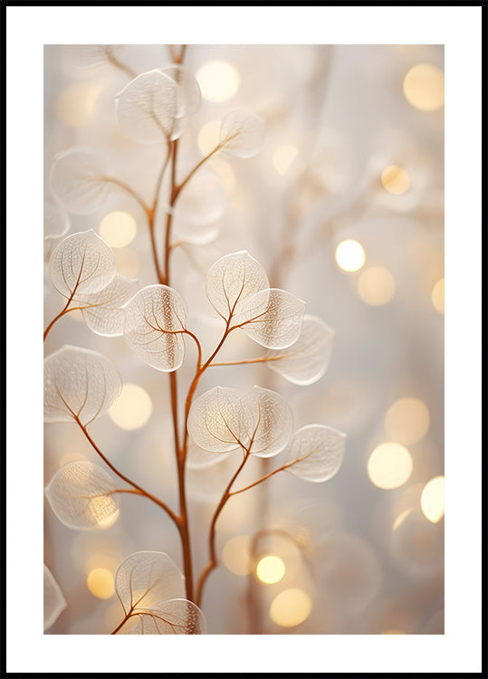 Plakát éterické záře