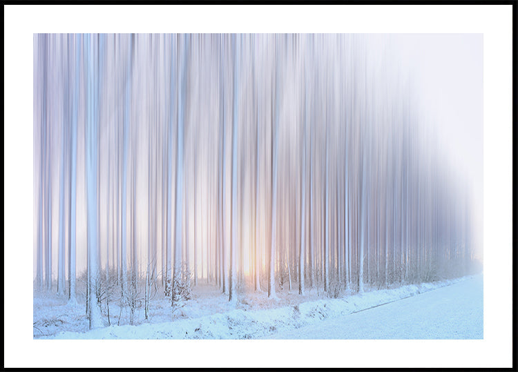 opona stromů Plakát