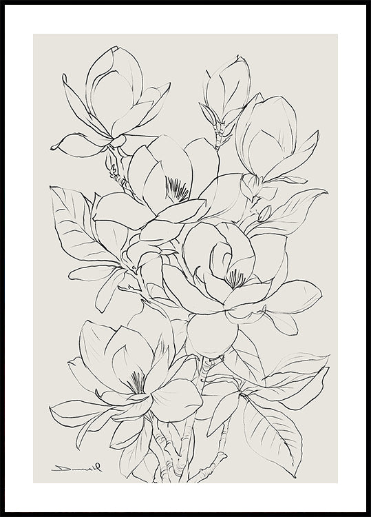 Strom Magnolie