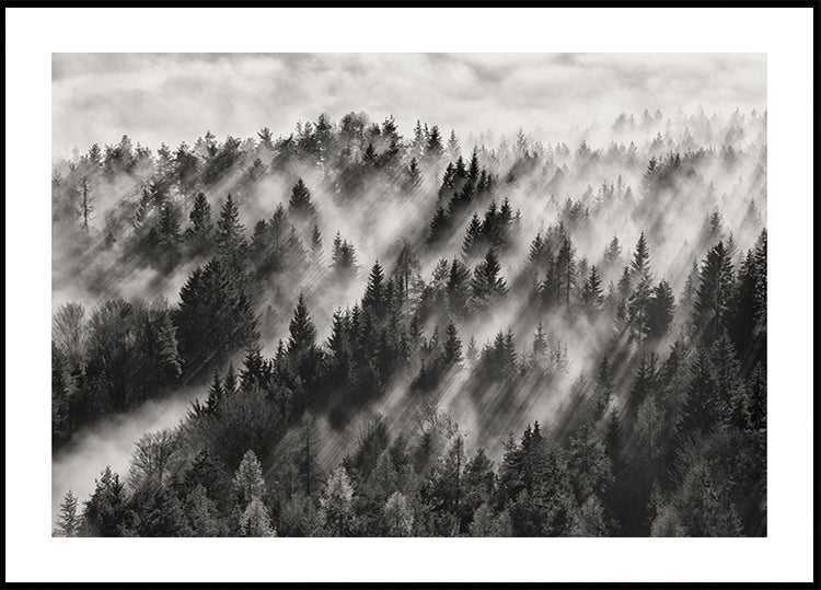 Plakát Sundance č.1