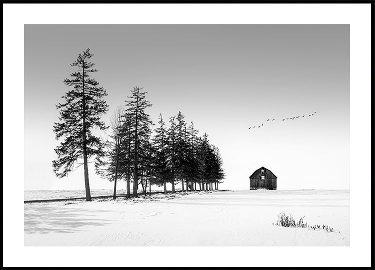 Slunečný zimní den plakát