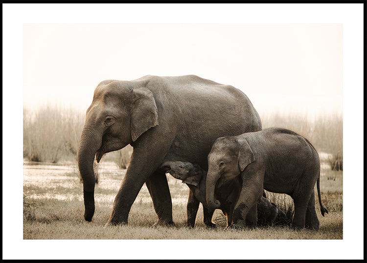 rodinný portrét plakát