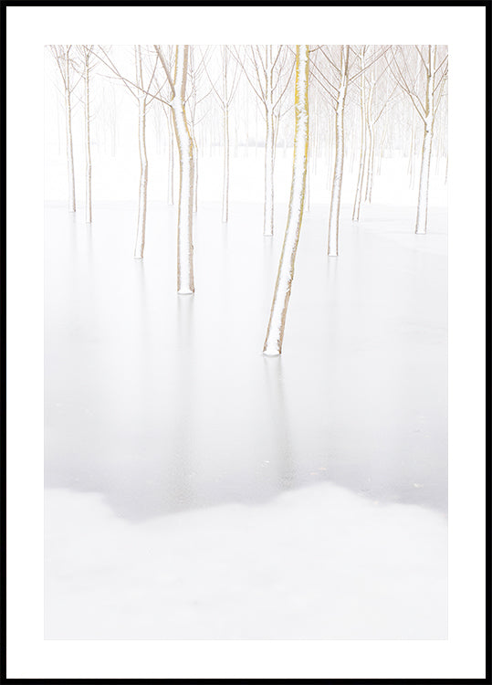 Zimní reflexe plakát