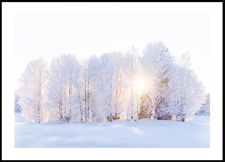 Světlo se vrací Plakát