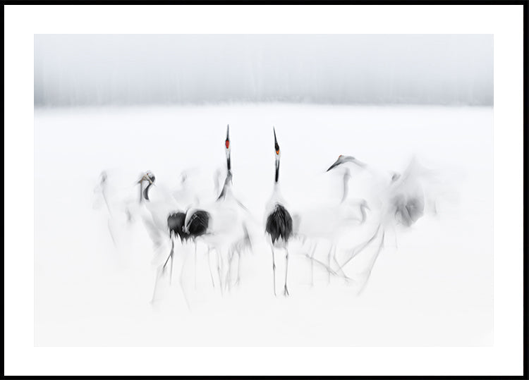 Plakát kaligrafického baletu