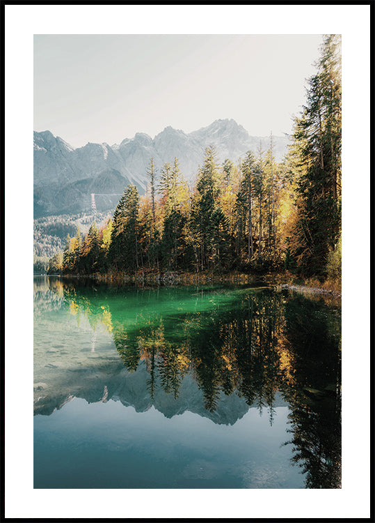 Morning Reflection by the Lake Plakat - Posterbox.dk
