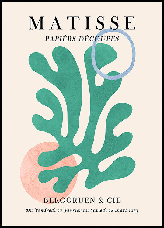 Matisse květinový 6 plakát