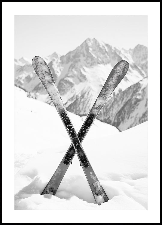 Skies Apls Black and White Plakat