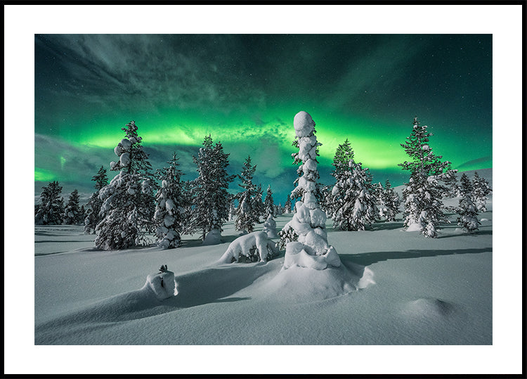 Plakát polární noci