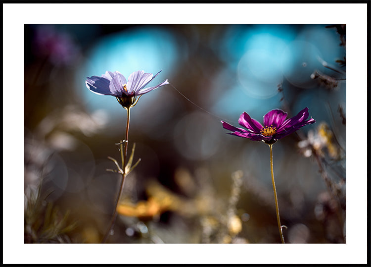 Le zástavní právo