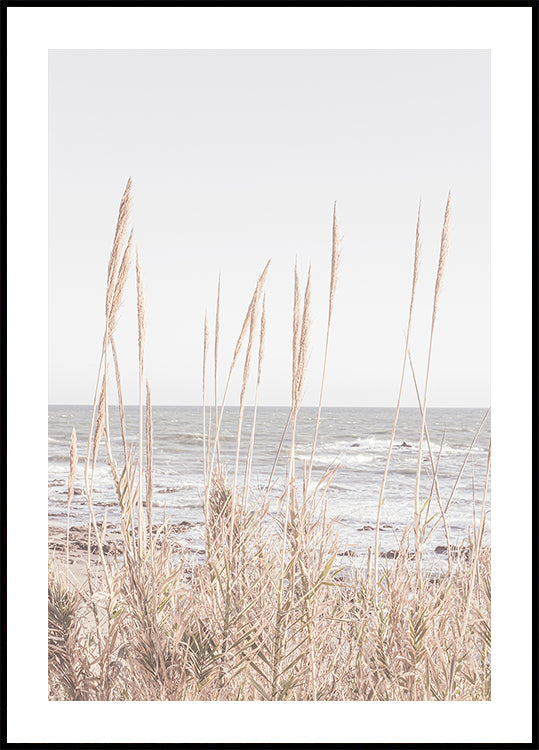 Plakát Beach_Vass_001