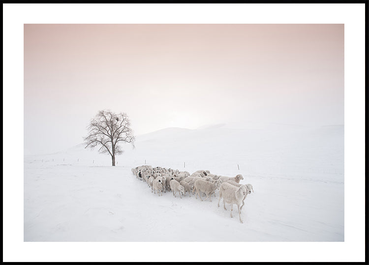Plakát Hejno hledá jídlo