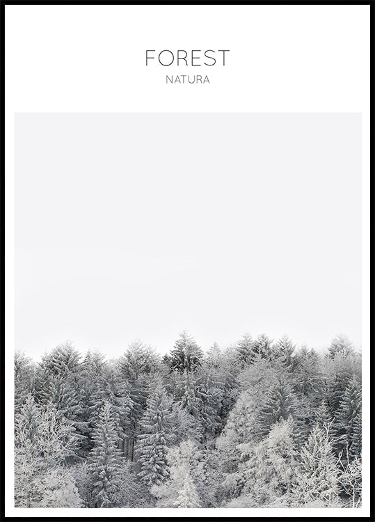 Frosted Tranquility (NOVINKA)