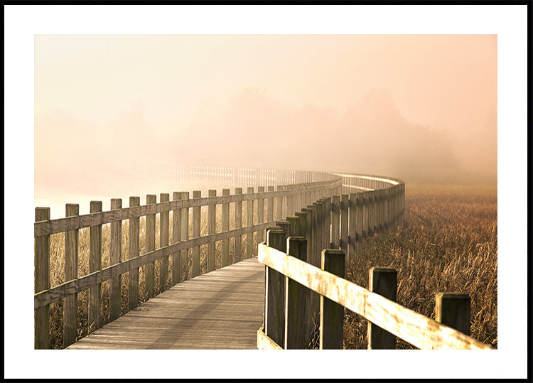 Cesta je jasnější.