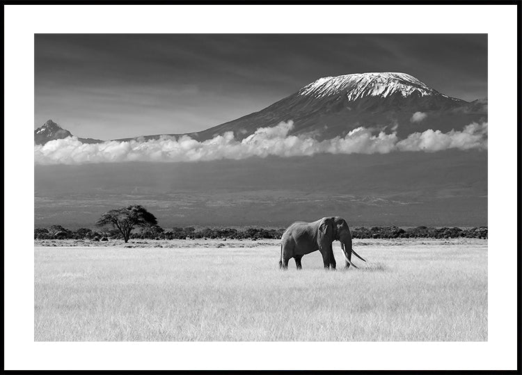 Plakát Ztracené barvy II