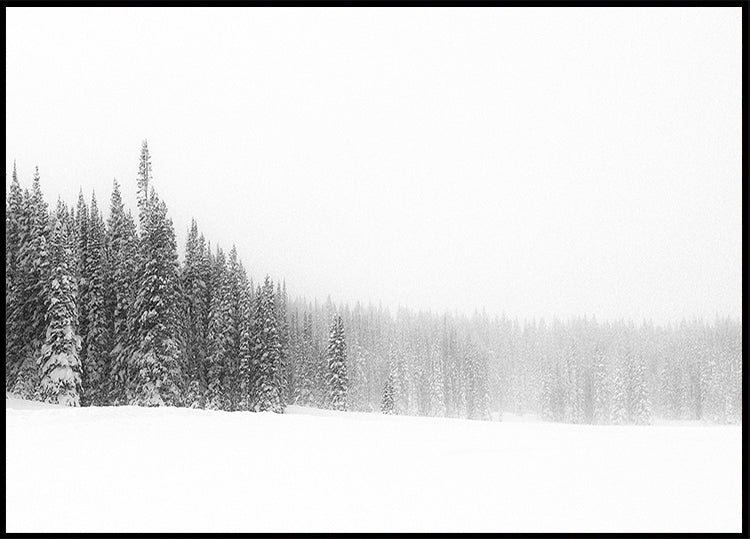 Plakát Les pro stromy