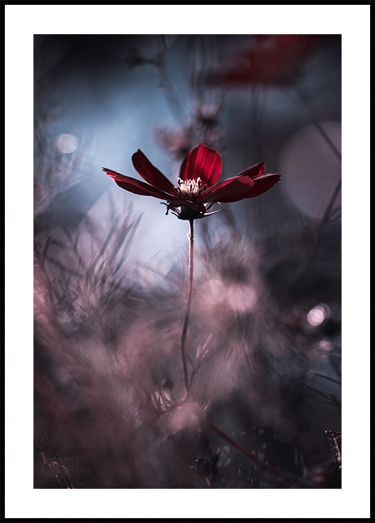 Společenské oblečení