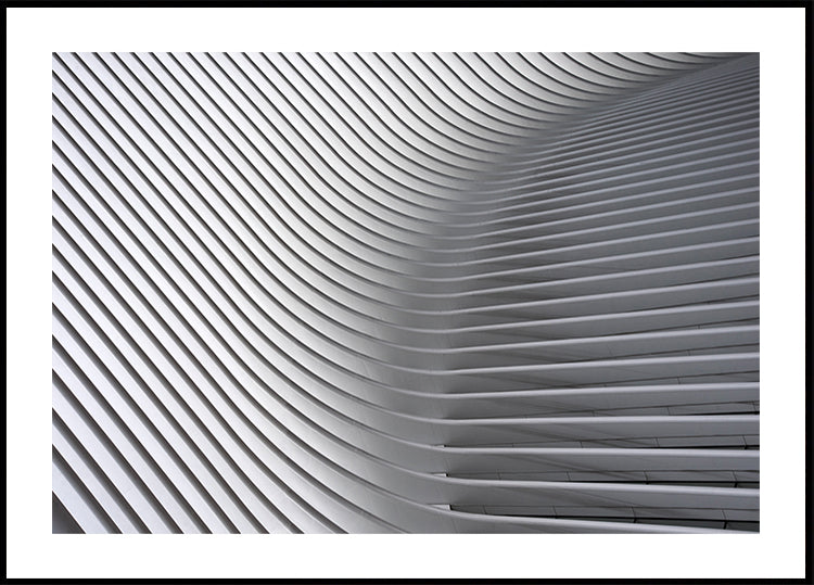 Plakát Calatrava Curves #2