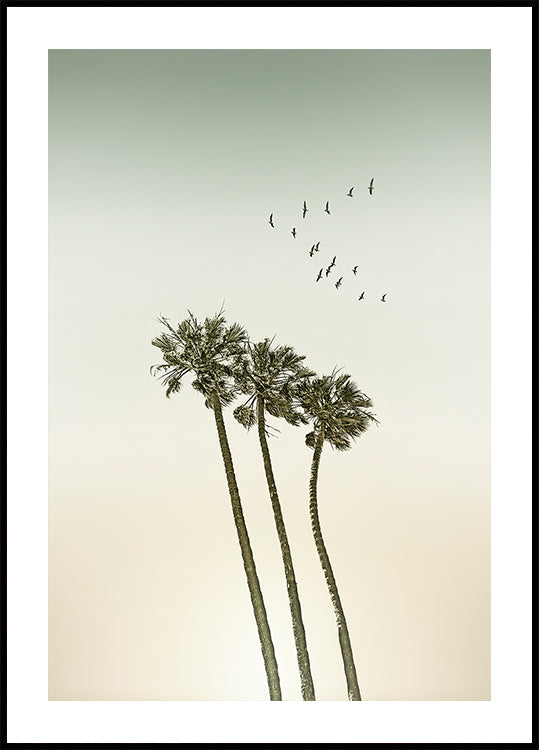 Vintage minimalistické palmy a západ slunce plakát