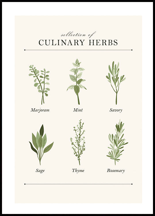 Herbs Plakat - Posterbox.dk