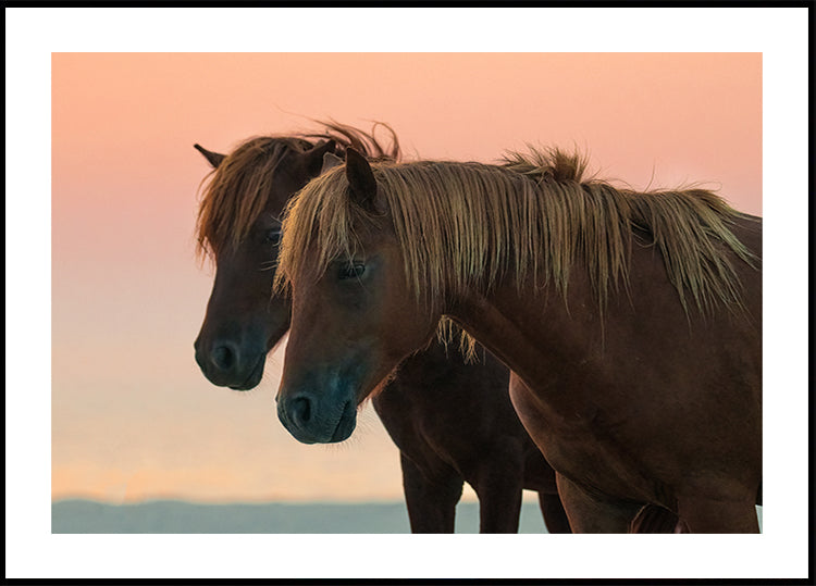 Těšíme se na plakát