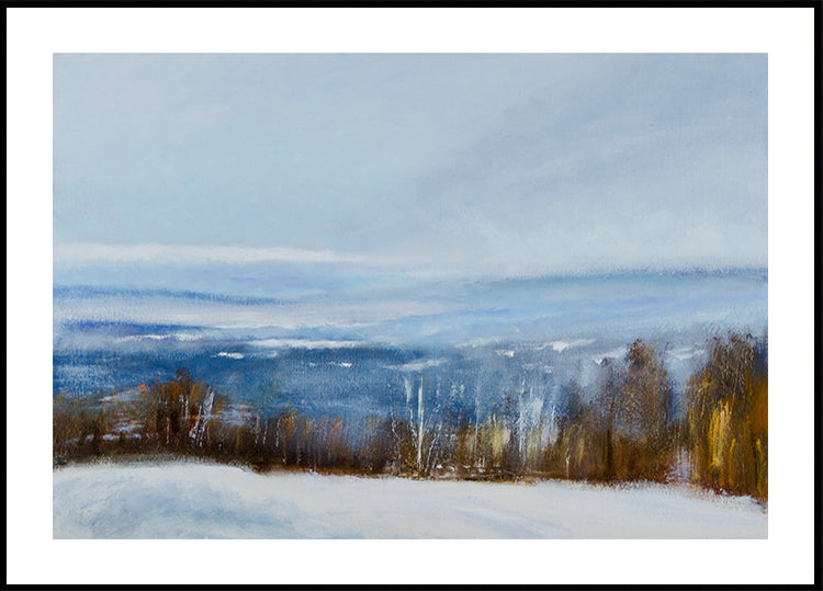 Zimní pohled plakát