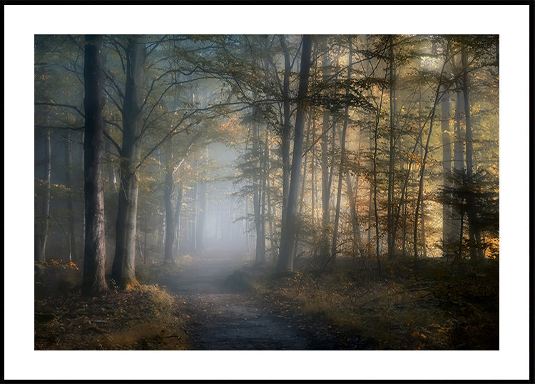 podzimní symfonie plakát