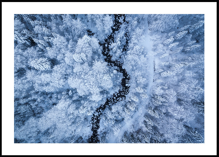 Mrazivá zima plakát krásy