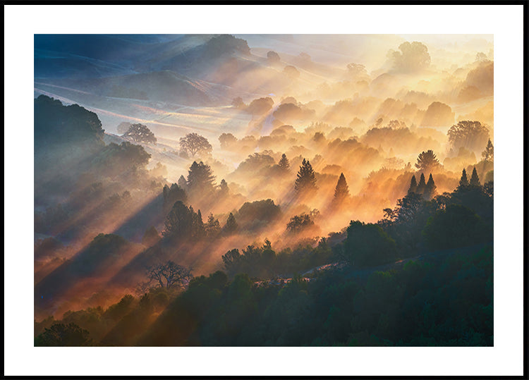 Plakát ranní světlo