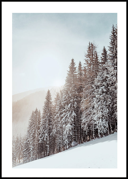 Snow Covered Trees Plakat - Posterbox.dk