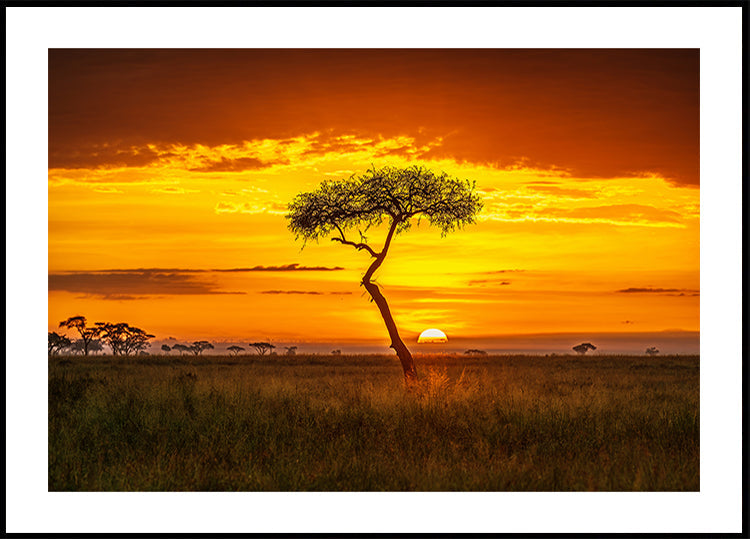 Plakát Prapůvodní Afrika