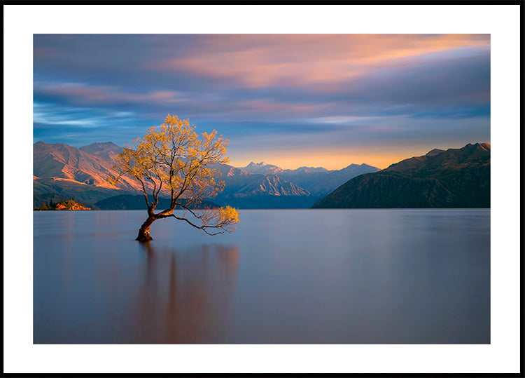 Plakát ranní záře