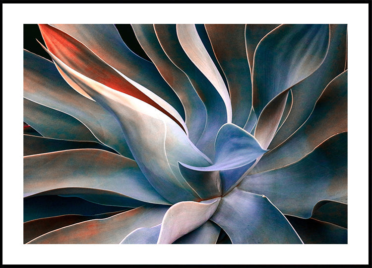 Plakát barvy v listech