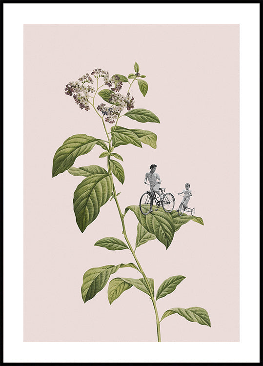 Botanická cyklistika