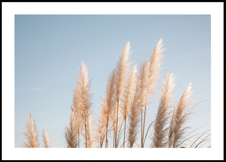 Winter in Portugal Plakat