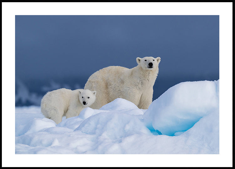 Plakát máma a dítě