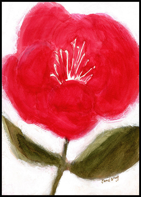 Květinové V červené pro Cierra Plakát