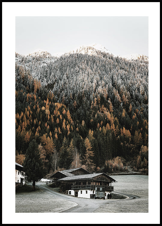 Rustic Houses in the Mountains Plakat - Posterbox.dk