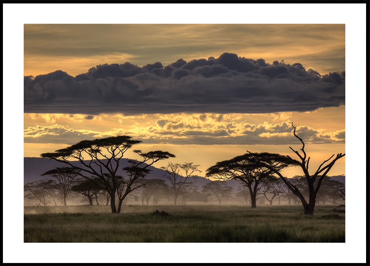 Dobrý večer Tanzanie