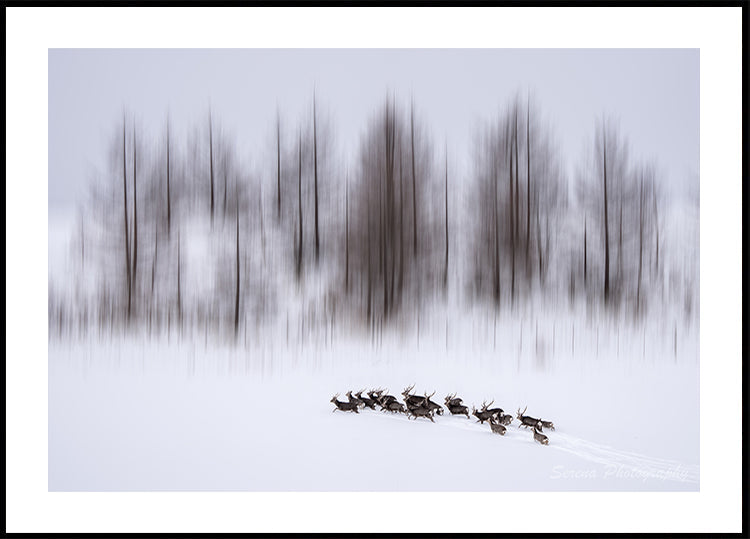 Plakát Zima na Hokkaidó