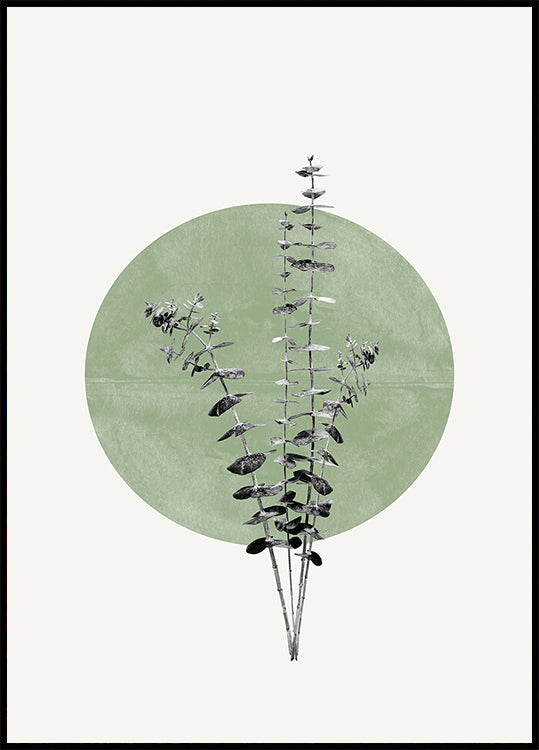 Plakát Nature's Echo