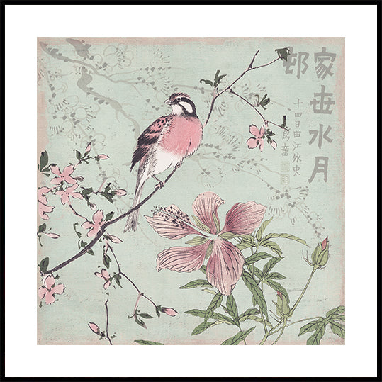 Chinoiserie No1 (NOVINKA)