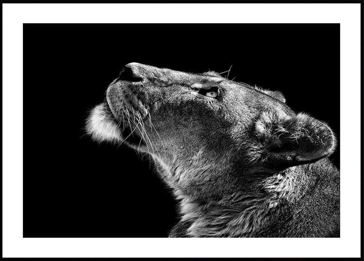 Vyhledávání Plakát