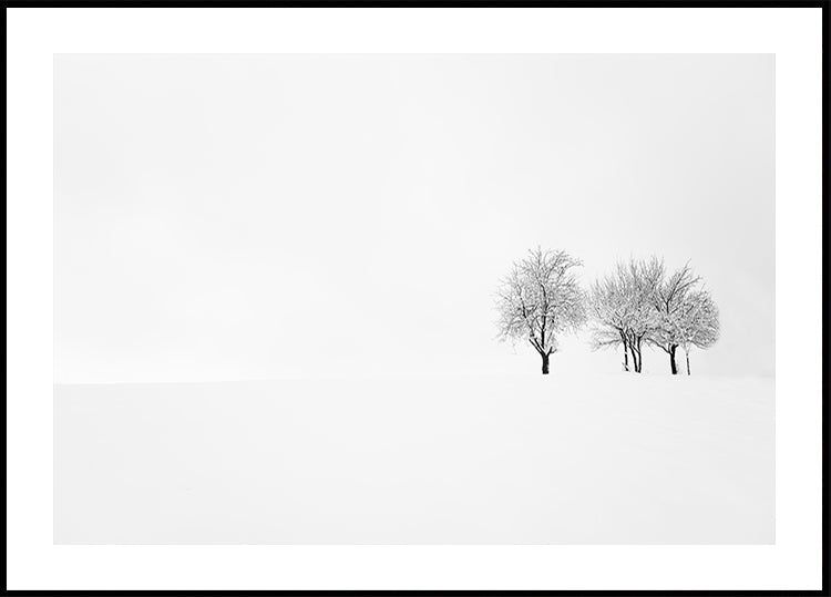 tree and silence Plakat